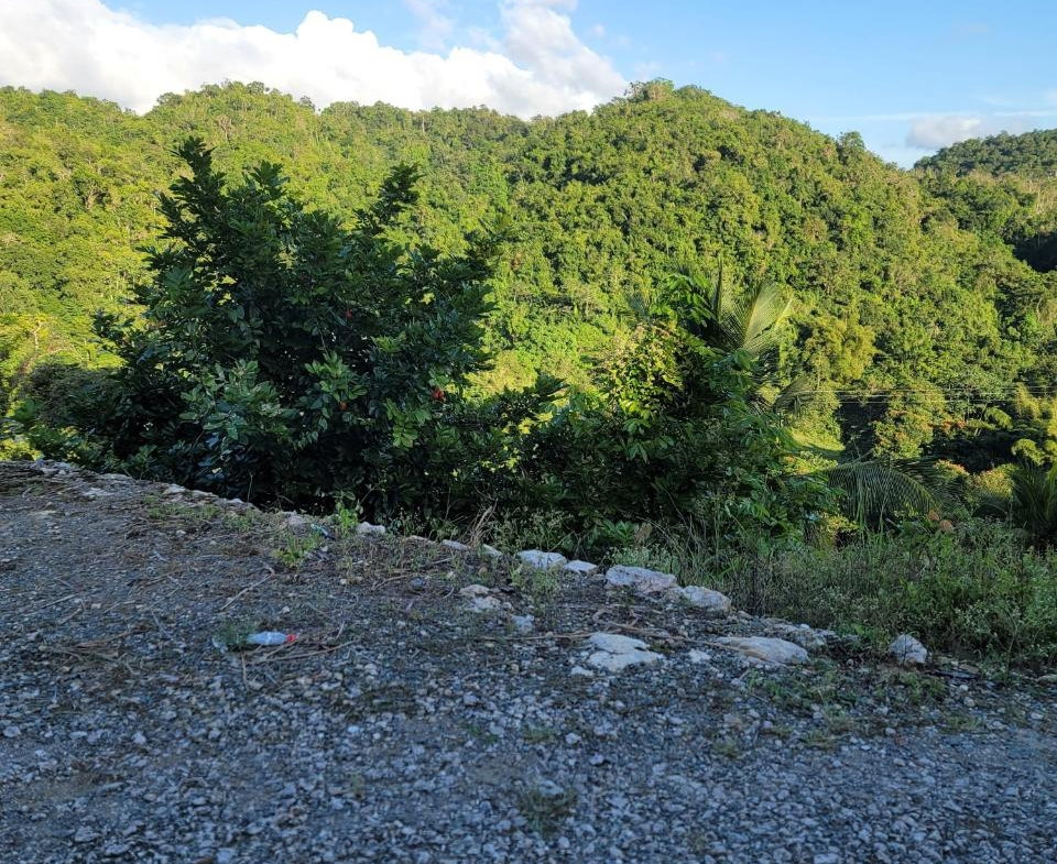 First image of Part of Freeman Hall in Ulster Spring, Trelawny, Jamaica - property is For Sale