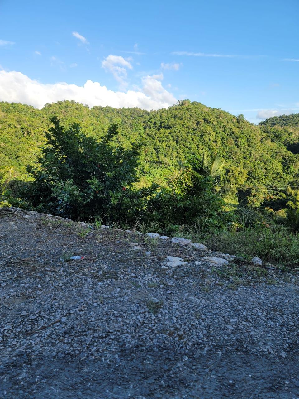 30.35-Acres-of-Prime-Development-Land-in-Trelawny-Jamaica First image of Part of Freeman Hall in Ulster Spring, Trelawny, Jamaica - property is For Sale