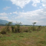 First image of 8 Bogue, Saint Elizabeth in Elim, St. Elizabeth, Jamaica - property is For Sale