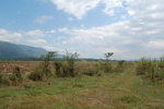 First image of 8 Bogue, Saint Elizabeth in Elim, St. Elizabeth, Jamaica - property is For Sale