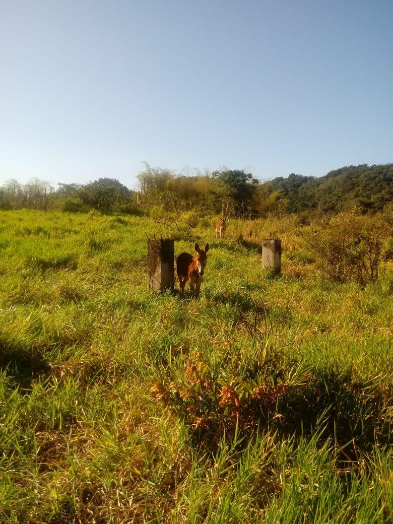 Second image of Oxford Trelawny in Clarks Town, Trelawny, Jamaica - property is For Rent