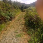 First image of Oxford Trelawny in Clarks Town, Trelawny, Jamaica - property is For Rent