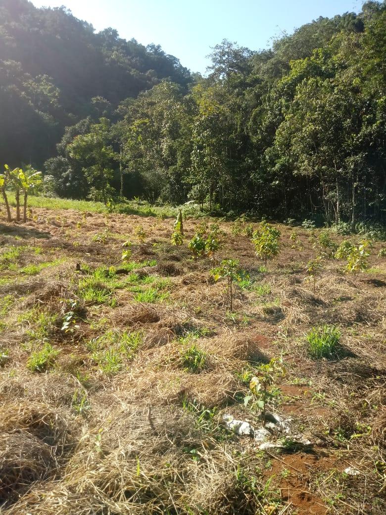 Third image of Oxford Trelawny in Clarks Town, Trelawny, Jamaica - property is For Rent