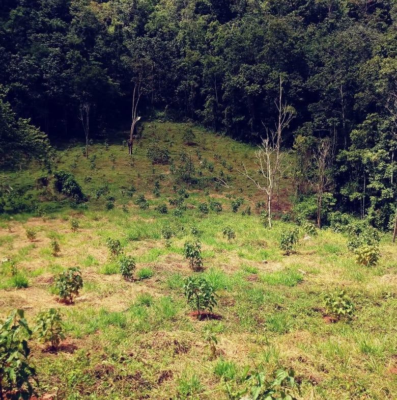 Sixth image of Oxford Trelawny in Clarks Town, Trelawny, Jamaica - property is For Rent