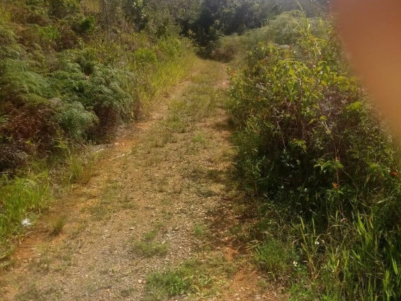 First image of Oxford Trelawny in Clarks Town, Trelawny, Jamaica - property is For Rent