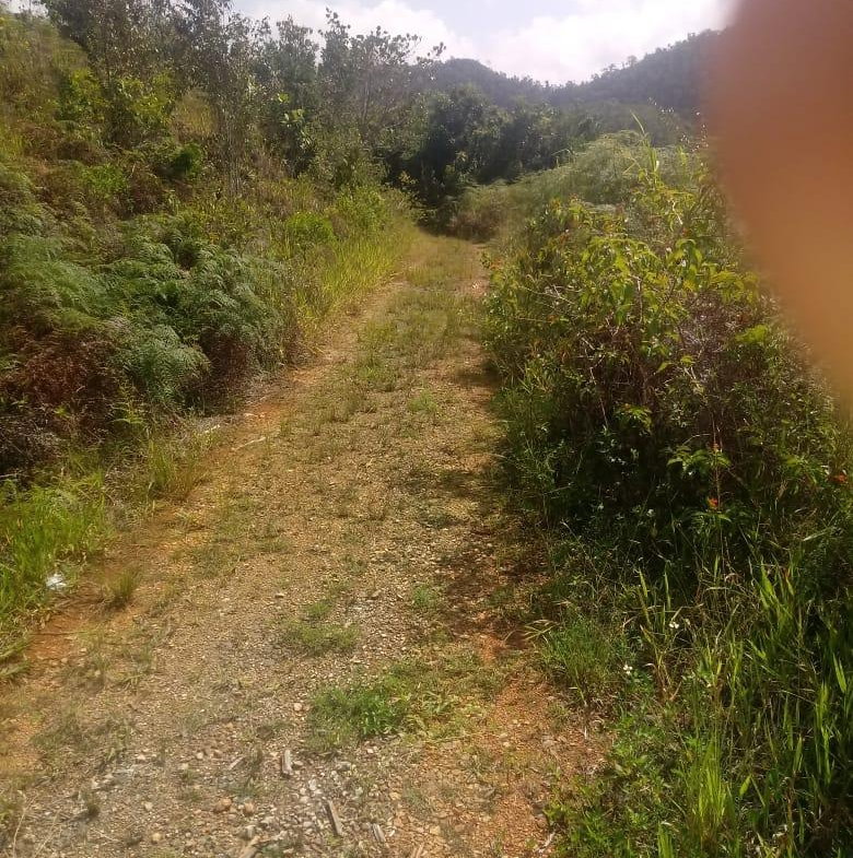 First image of Oxford Trelawny in Clarks Town, Trelawny, Jamaica - property is For Rent