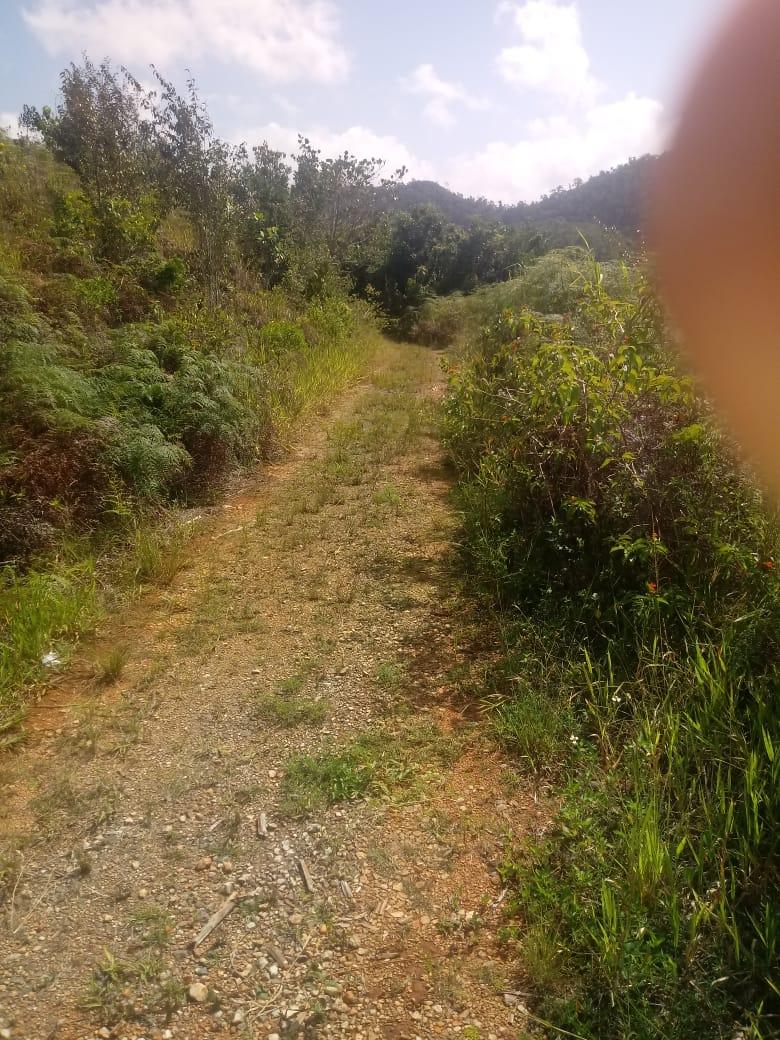 First image of Oxford Trelawny in Clarks Town, Trelawny, Jamaica - property is For Rent