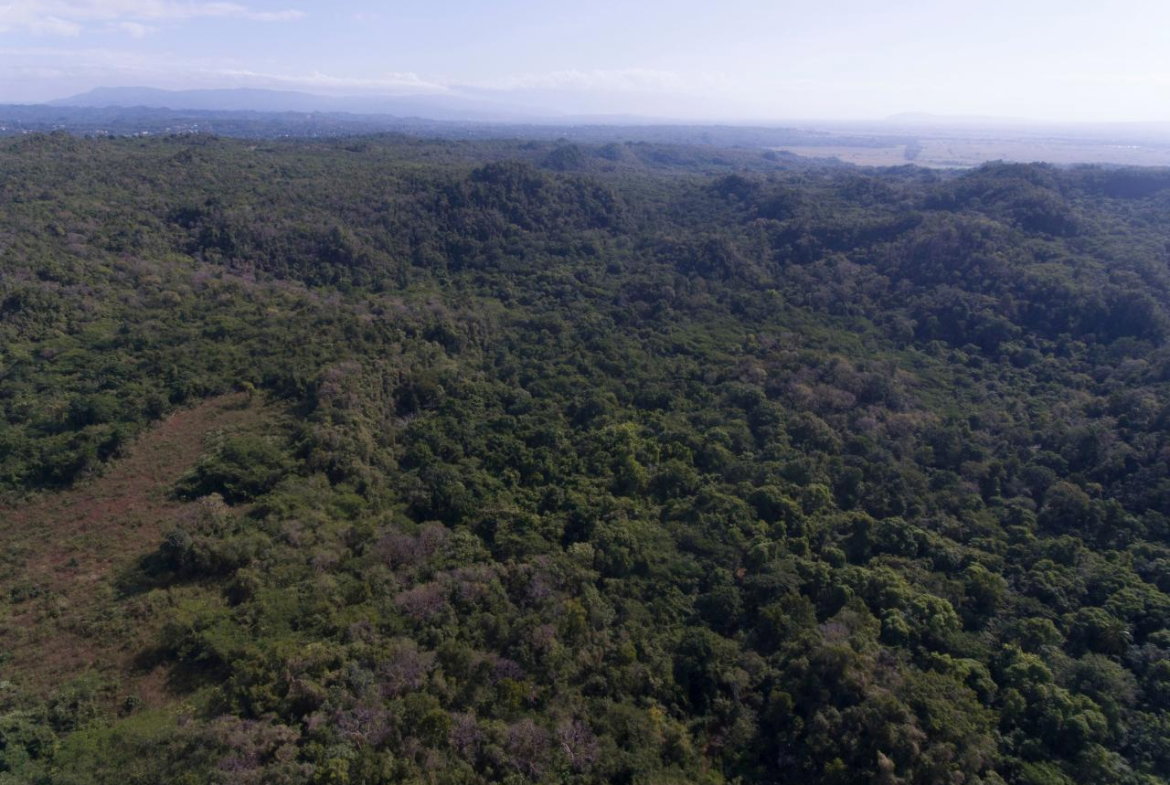 First image of Spring Garden in Bushy Park, St. Catherine, Jamaica - property is For Sale