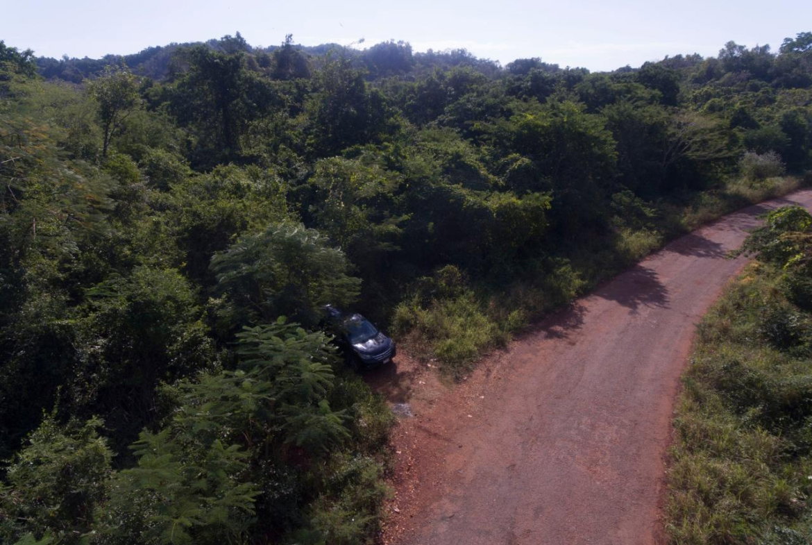 Fifth image of Spring Garden in Bushy Park, St. Catherine, Jamaica - property is For Sale
