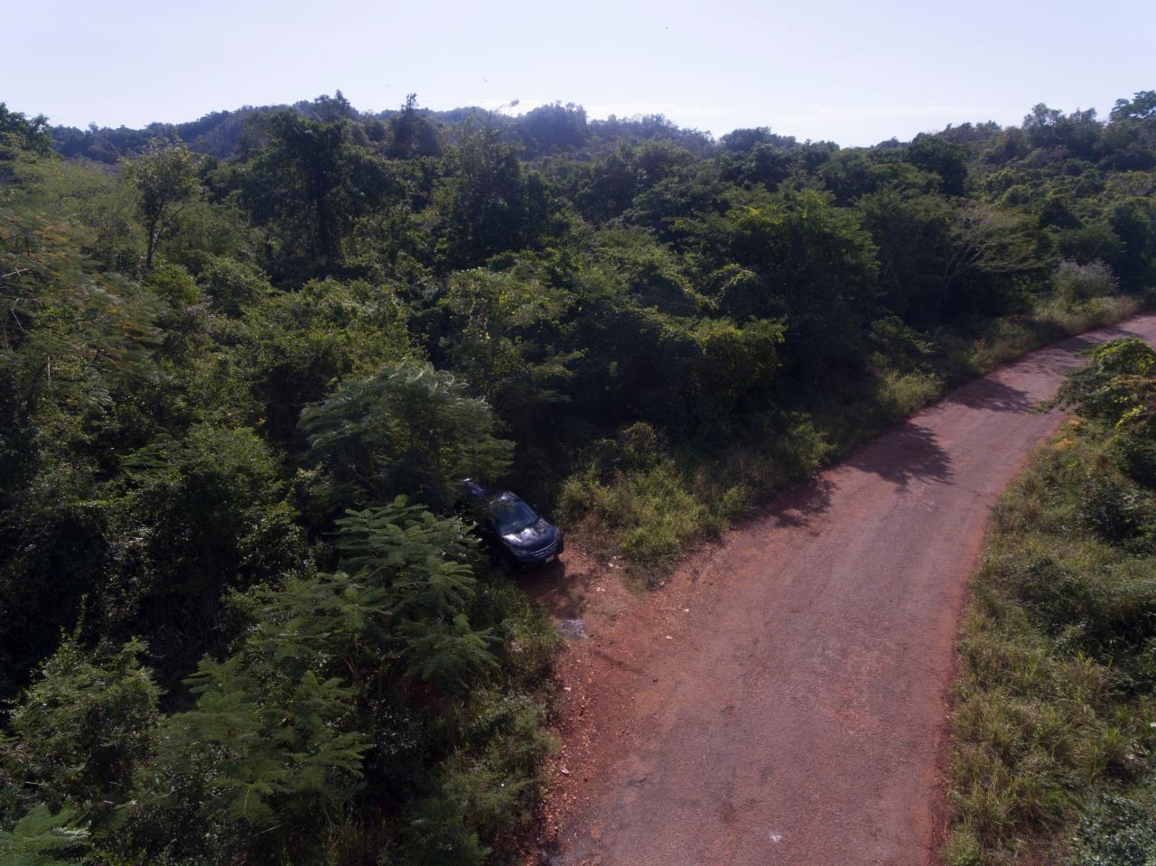 Fifth image of Spring Garden in Bushy Park, St. Catherine, Jamaica - property is For Sale
