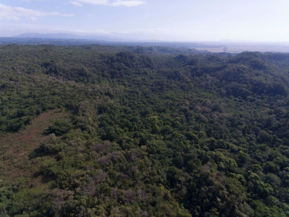 First image of Spring Garden in Bushy Park, St. Catherine, Jamaica - property is For Sale