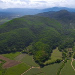 First image of Lot 4 Springvale , Bog Walk St. in Bog Walk, St. Catherine, Jamaica - property is For Sale