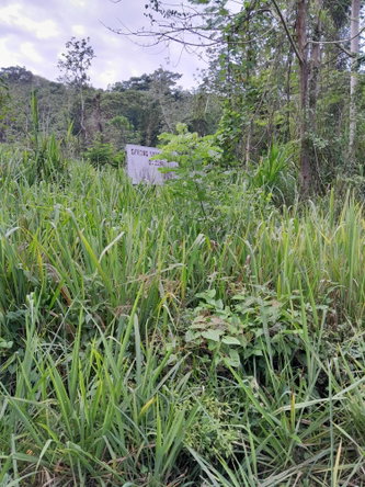 Sixth image of Lot 4 Springvale , Bog Walk St. in Bog Walk, St. Catherine, Jamaica - property is For Sale