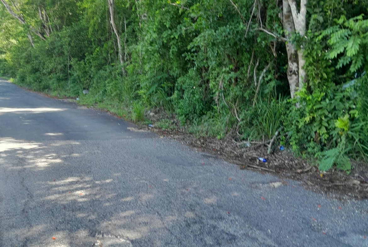Eighth image of Lot 4 Springvale , Bog Walk St. in Bog Walk, St. Catherine, Jamaica - property is For Sale