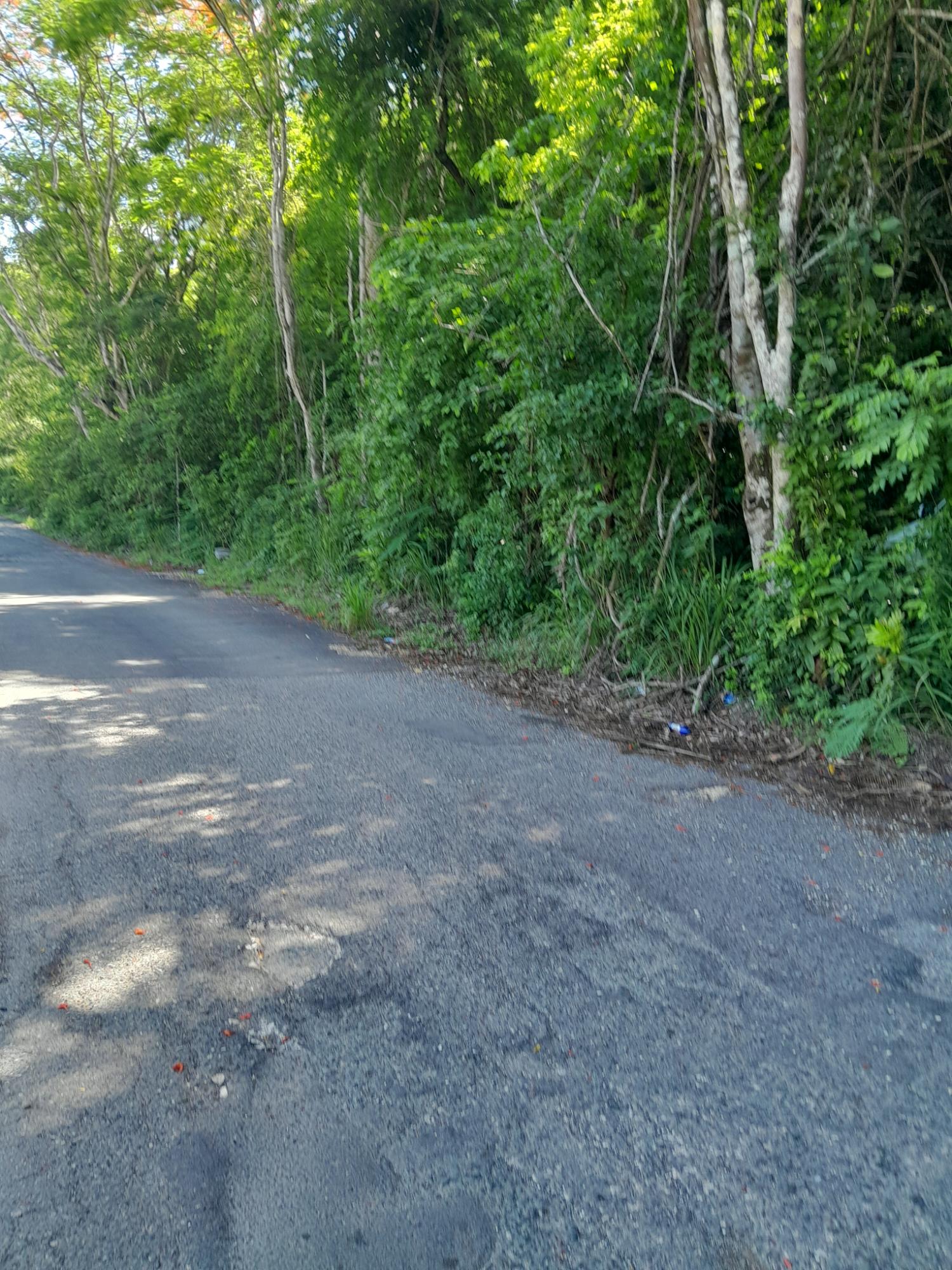 Eighth image of Lot 4 Springvale , Bog Walk St. in Bog Walk, St. Catherine, Jamaica - property is For Sale