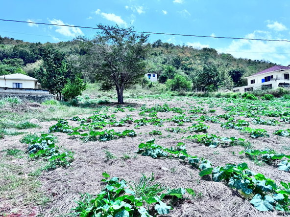 Second image of Ballards Valley, Junction in Ballards Valley, St. Elizabeth, Jamaica - property is For Sale