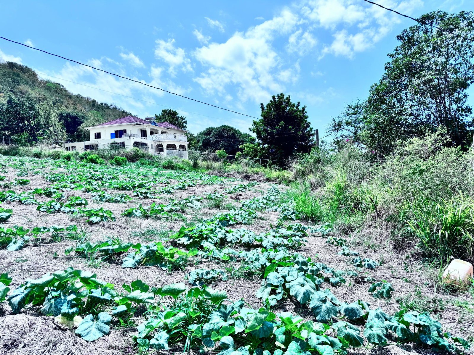 Third image of Ballards Valley, Junction in Ballards Valley, St. Elizabeth, Jamaica - property is For Sale