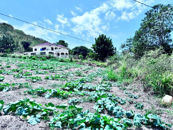 Third image of Ballards Valley, Junction in Ballards Valley, St. Elizabeth, Jamaica - property is For Sale