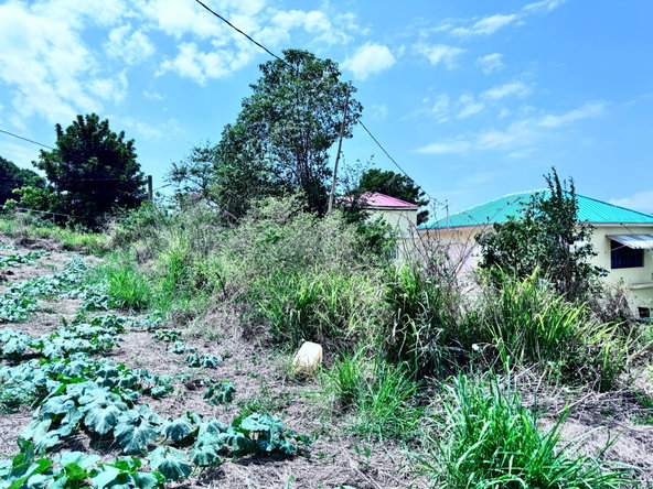 Fourth image of Ballards Valley, Junction in Ballards Valley, St. Elizabeth, Jamaica - property is For Sale