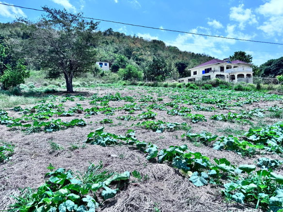 First image of Ballards Valley, Junction in Ballards Valley, St. Elizabeth, Jamaica - property is For Sale