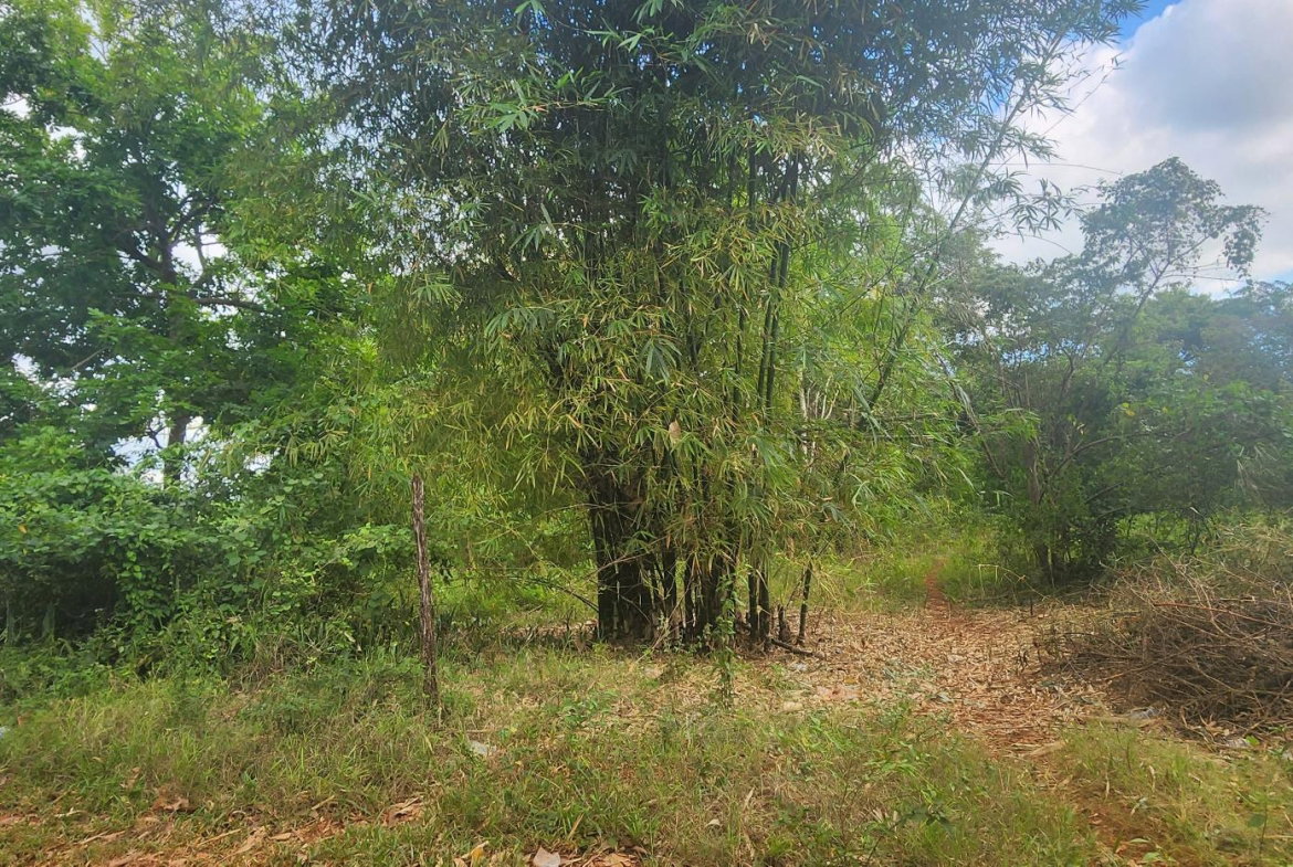 Twenty-Third image of Dark Hole- Kitson Town in KITSON TOWN, St. Catherine, Jamaica - property is For Sale