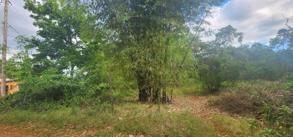 Twenty-Third image of Dark Hole- Kitson Town in KITSON TOWN, St. Catherine, Jamaica - property is For Sale