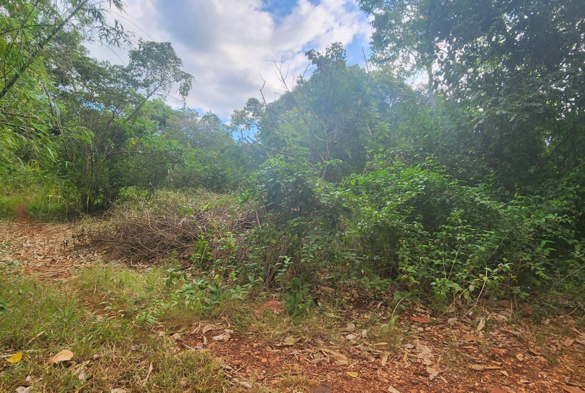 Twenty-Fourth image of Dark Hole- Kitson Town in KITSON TOWN, St. Catherine, Jamaica - property is For Sale