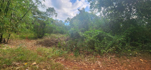 Twenty-Fourth image of Dark Hole- Kitson Town in KITSON TOWN, St. Catherine, Jamaica - property is For Sale