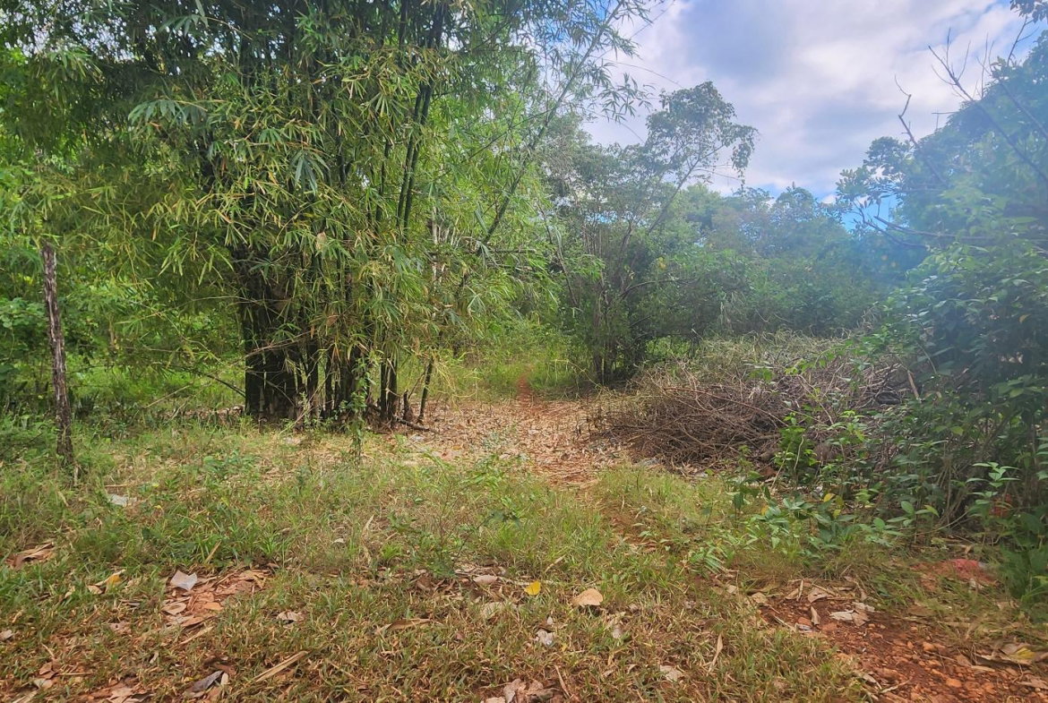 Twenty-Fifth image of Dark Hole- Kitson Town in KITSON TOWN, St. Catherine, Jamaica - property is For Sale