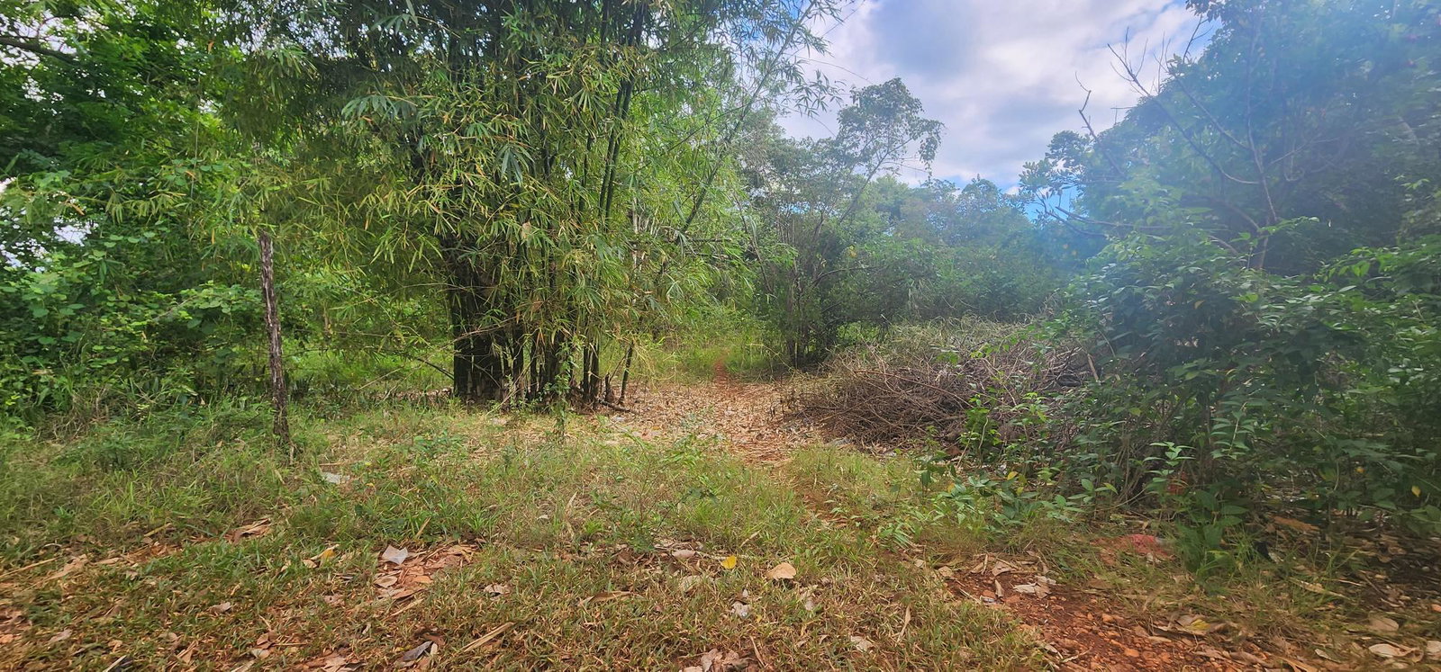 Twenty-Fifth image of Dark Hole- Kitson Town in KITSON TOWN, St. Catherine, Jamaica - property is For Sale