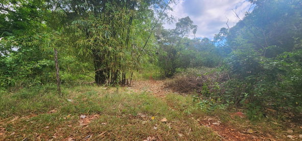 Twenty-Fifth image of Dark Hole- Kitson Town in KITSON TOWN, St. Catherine, Jamaica - property is For Sale