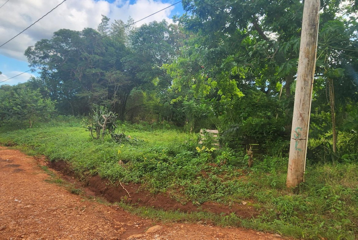 Twenty-Sixth image of Dark Hole- Kitson Town in KITSON TOWN, St. Catherine, Jamaica - property is For Sale