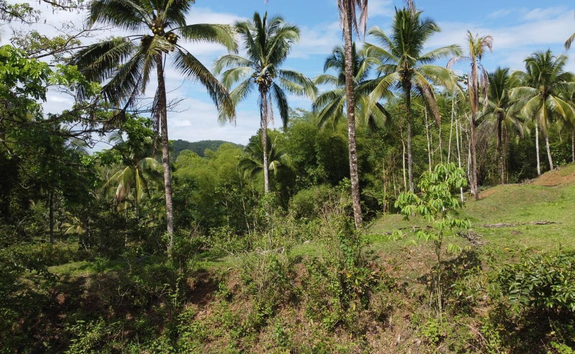 Second image of Retrieve, Cambridge in Cambridge, St. James, Jamaica - property is For Sale
