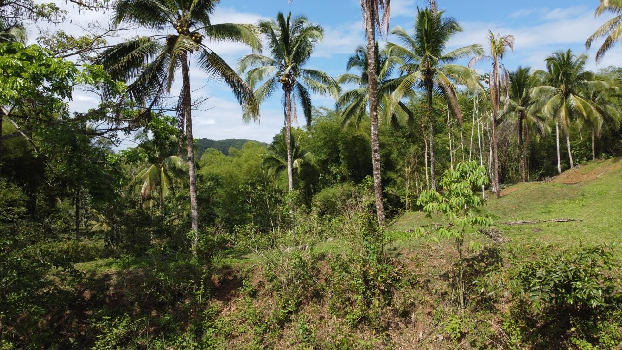 Second image of Retrieve, Cambridge in Cambridge, St. James, Jamaica - property is For Sale