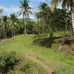 First image of Retrieve, Cambridge in Cambridge, St. James, Jamaica - property is For Sale