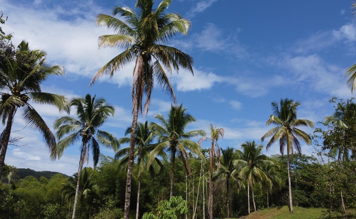 Third image of Retrieve, Cambridge in Cambridge, St. James, Jamaica - property is For Sale
