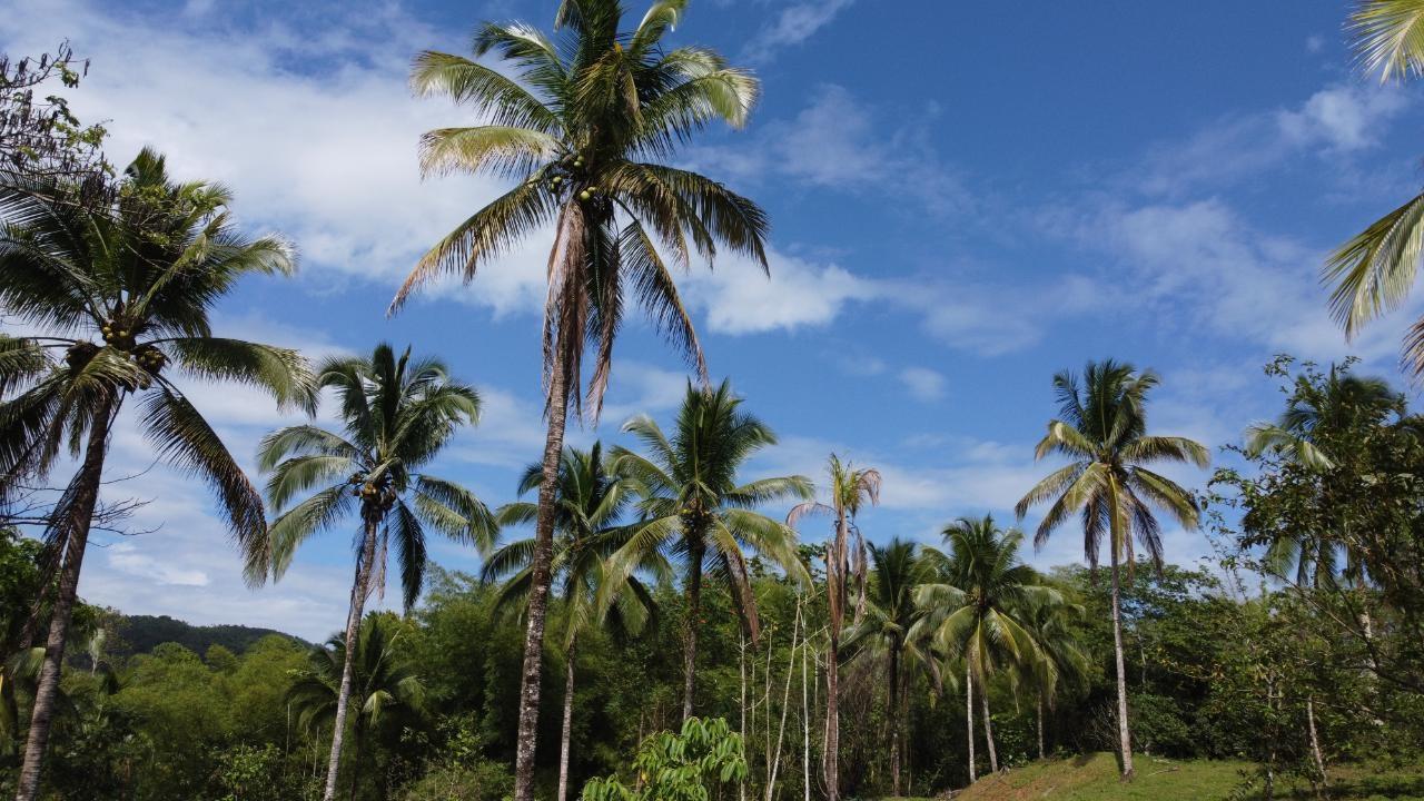 Third image of Retrieve, Cambridge in Cambridge, St. James, Jamaica - property is For Sale