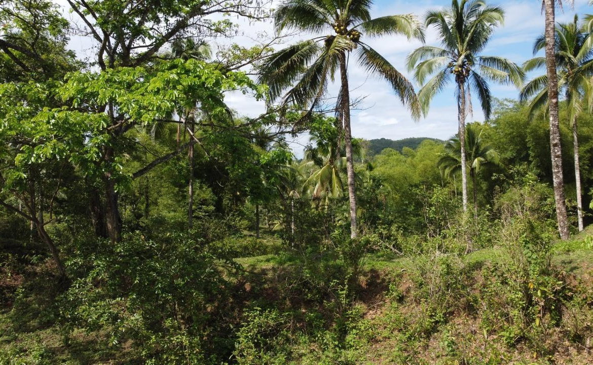 Fourth image of Retrieve, Cambridge in Cambridge, St. James, Jamaica - property is For Sale