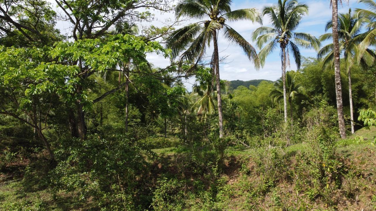 Fourth image of Retrieve, Cambridge in Cambridge, St. James, Jamaica - property is For Sale