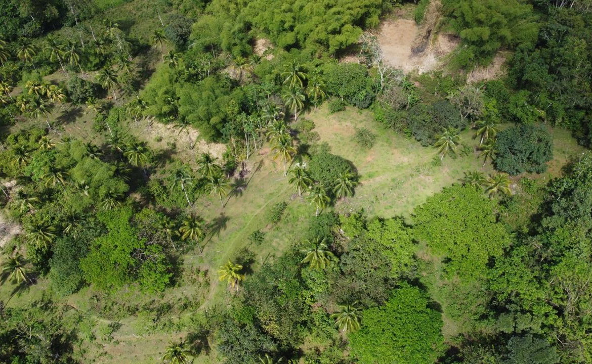 Fifth image of Retrieve, Cambridge in Cambridge, St. James, Jamaica - property is For Sale