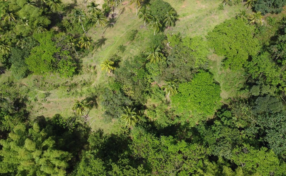 Sixth image of Retrieve, Cambridge in Cambridge, St. James, Jamaica - property is For Sale
