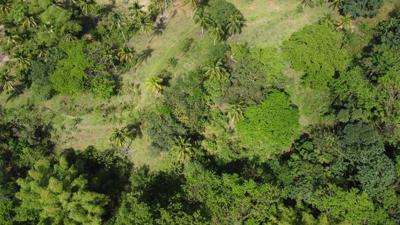 Sixth image of Retrieve, Cambridge in Cambridge, St. James, Jamaica - property is For Sale