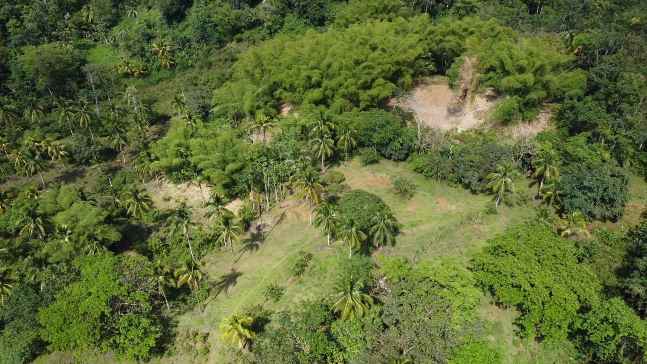Seventh image of Retrieve, Cambridge in Cambridge, St. James, Jamaica - property is For Sale