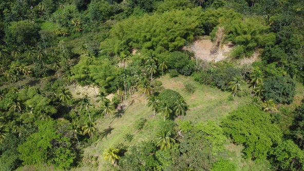 Seventh image of Retrieve, Cambridge in Cambridge, St. James, Jamaica - property is For Sale