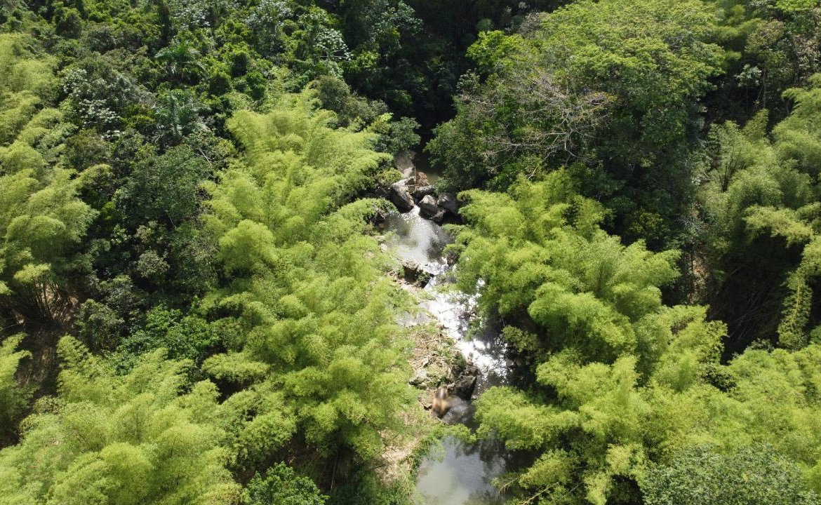 Eighth image of Retrieve, Cambridge in Cambridge, St. James, Jamaica - property is For Sale