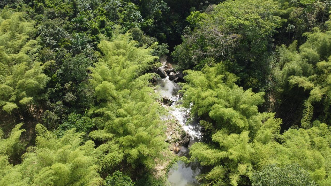 Eighth image of Retrieve, Cambridge in Cambridge, St. James, Jamaica - property is For Sale
