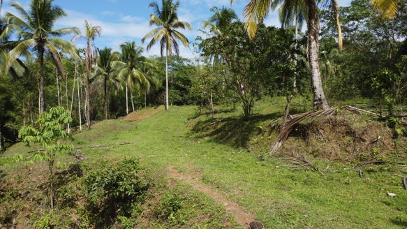First image of Retrieve, Cambridge in Cambridge, St. James, Jamaica - property is For Sale