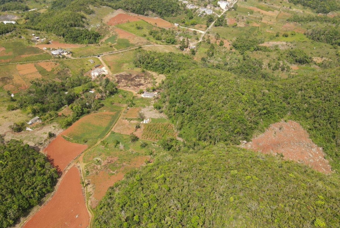 Second image of Donnington in Mandeville, Manchester, Jamaica - property is For Sale