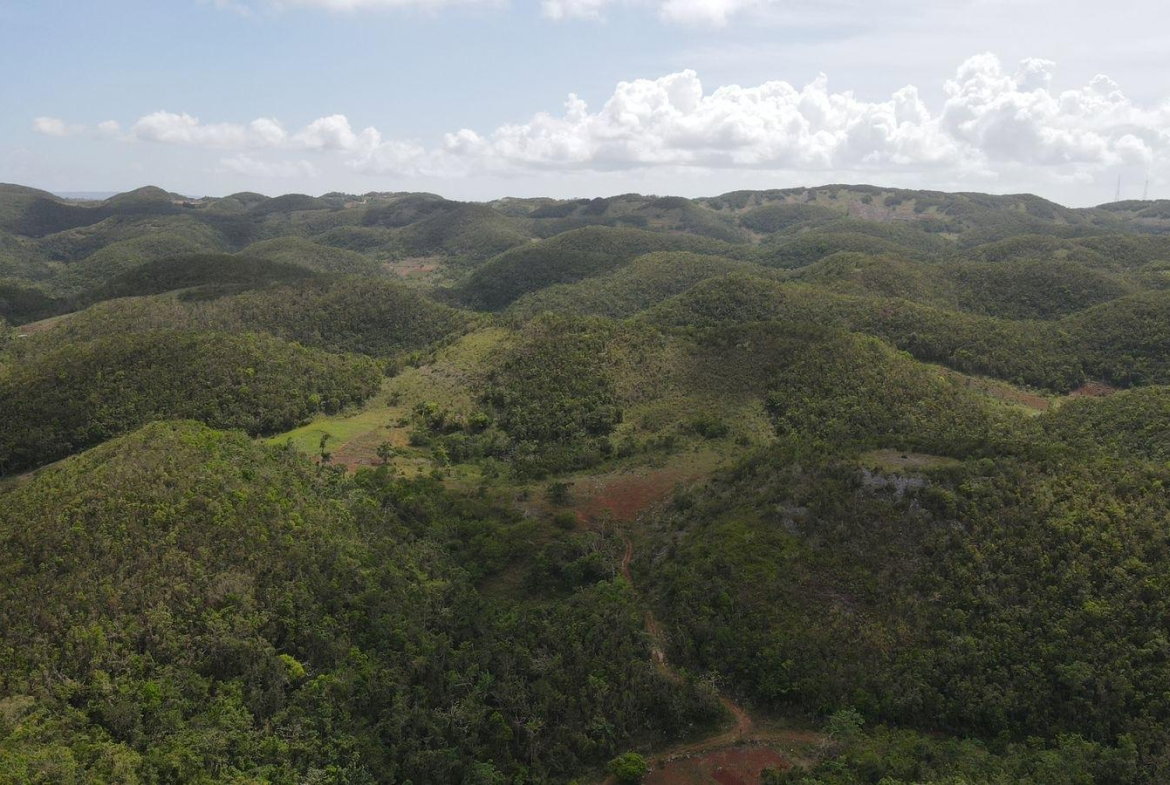 First image of Donnington in Mandeville, Manchester, Jamaica - property is For Sale