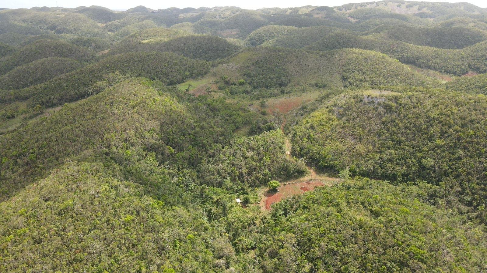 Fourth image of Donnington in Mandeville, Manchester, Jamaica - property is For Sale